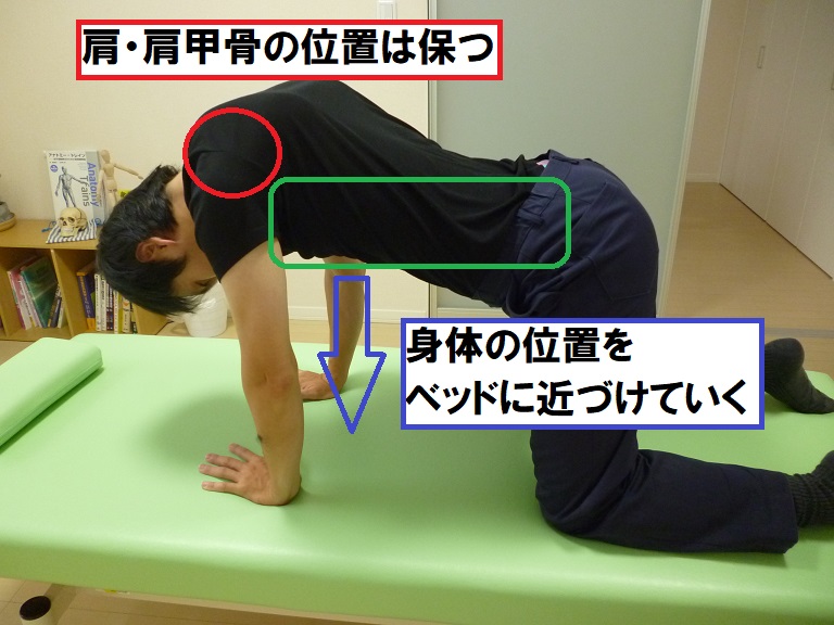 身体の動きの達人が行っている 立甲 とはなんなのか 春日井市の整体院 虹niji